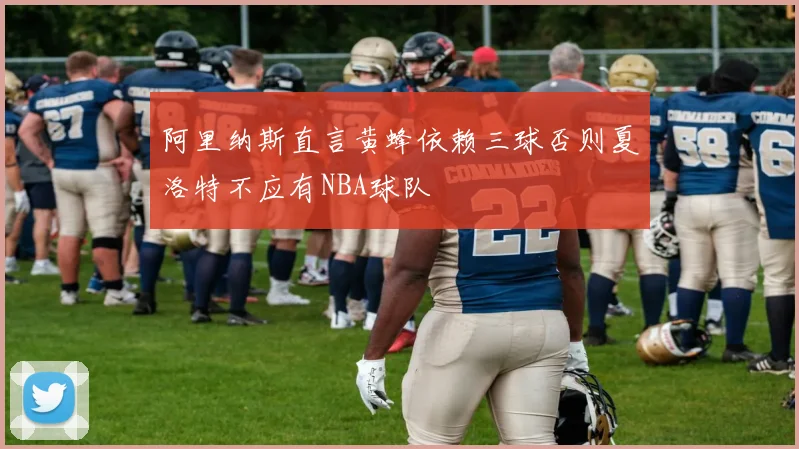 阿里纳斯直言黄蜂依赖三球否则夏洛特不应有NBA球队