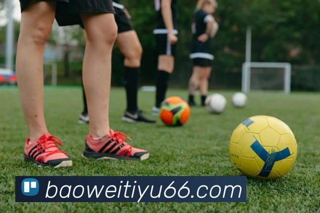 宝威体育平台生态图