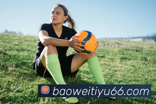 宝威体育APP 封面图